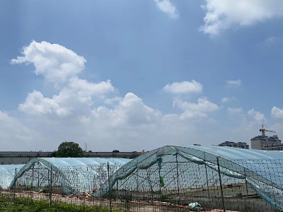 恩拓博高速增氧機上海使用案例！